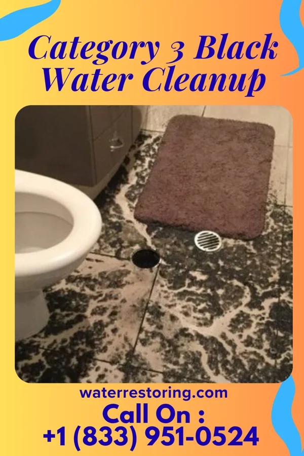 Category 3 Black Water Cleanup in Barbourmeade, KY